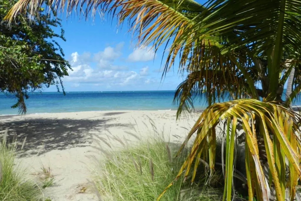 The Oasis Of Paradise @ Aquatika With Kingbed+Tv+Wifi+Pk Apartament Loiza Portoryko